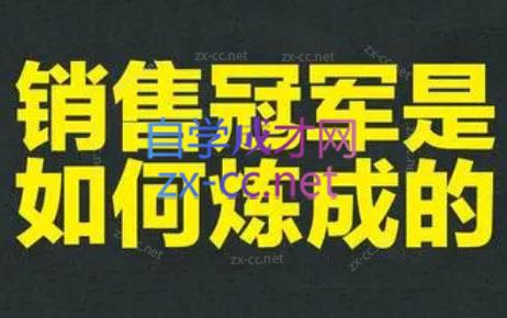 林林老师·成为外贸销售冠军课-康仁安资源