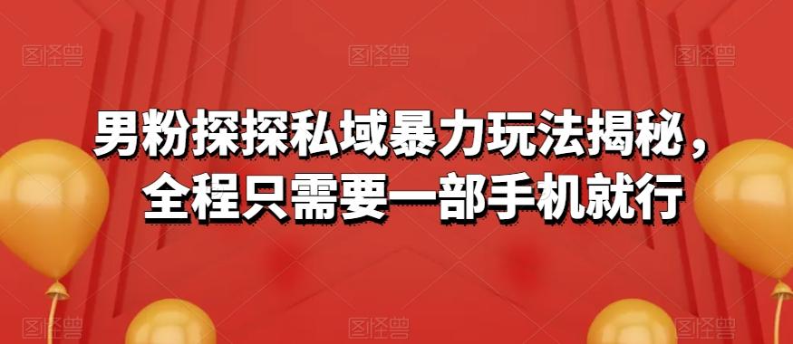 男粉探探私域暴力玩法揭秘，全程只需要一部手机就行-康仁安资源