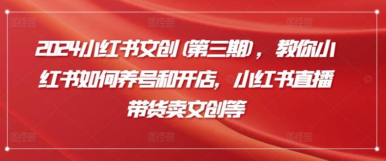 2024小红书文创(第三期)，教你小红书如何养号和开店，小红书直播带货卖文创等-康仁安资源