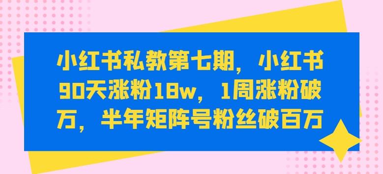小红书私教第七期，小红书90天涨粉18w，1周涨粉破万，半年矩阵号粉丝破百万-康仁安资源