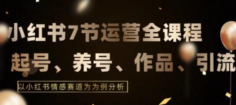 7节小红书运营实战全教程，结合最新情感赛道，打通小红书运营全流程【揭秘】-康仁安资源