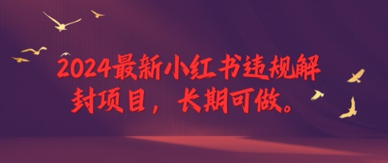 2024最新小红书违规解封项目，长期可做，一个可以做到退休的项目【揭秘】-康仁安资源