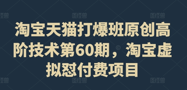 淘宝天猫打爆班原创高阶技术第60期，淘宝虚拟怼付费项目-康仁安资源