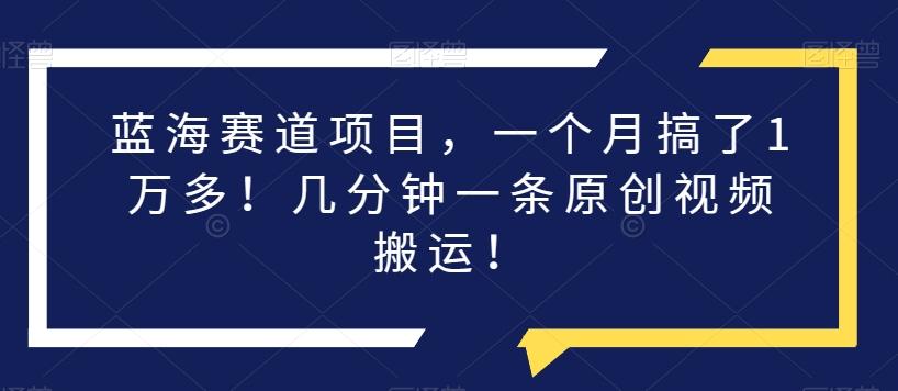 蓝海赛道项目，一个月搞了1万多！几分钟一条原创视频搬运！-康仁安资源