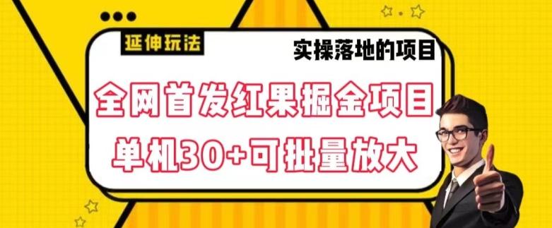 全网首发红果免费短剧掘金项目，单机30+可批量放大【揭秘】-康仁安资源
