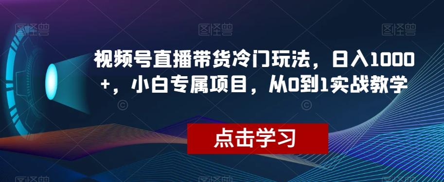 视频号直播带货冷门玩法，日入1000+，小白专属项目，从0到1实战教学【揭秘】-康仁安资源