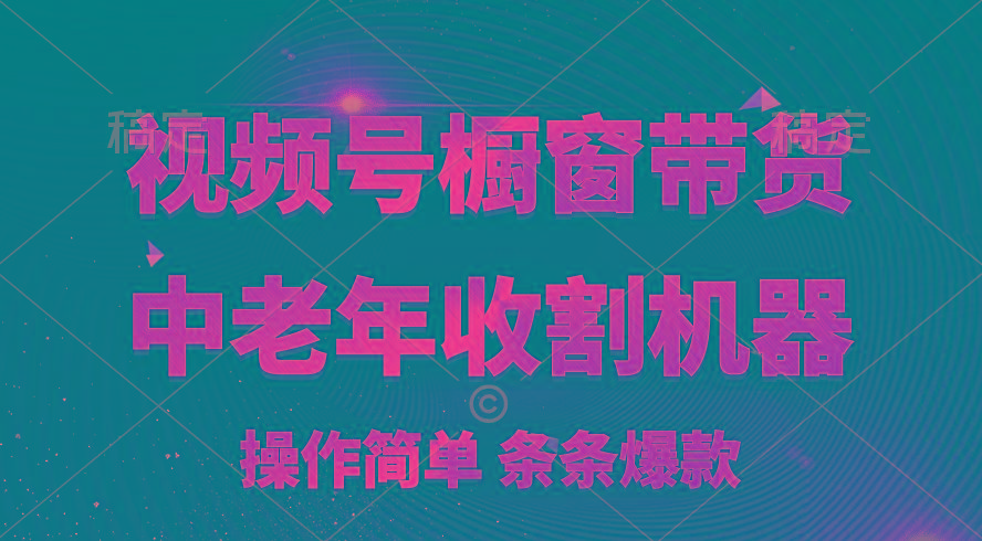 [你的孩子成功取得高位]视频号最火爆赛道，橱窗带货，流量分成计划，条...-康仁安资源