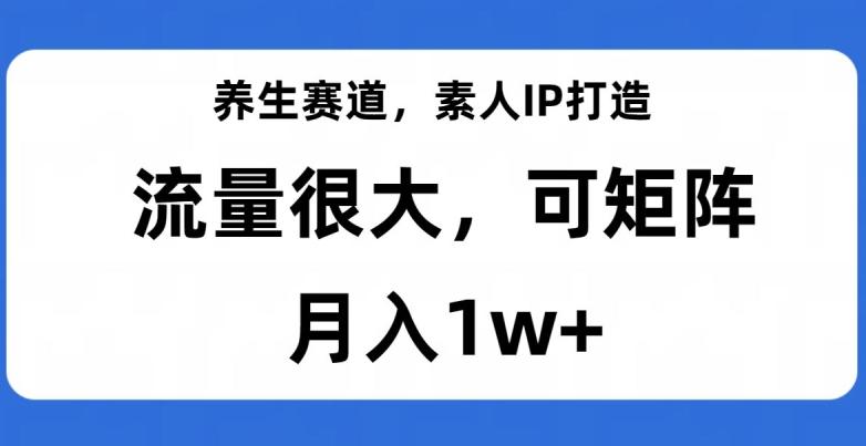 养生赛道，素人IP打造，流量很大，可矩阵，月入1w+【揭秘】-康仁安资源