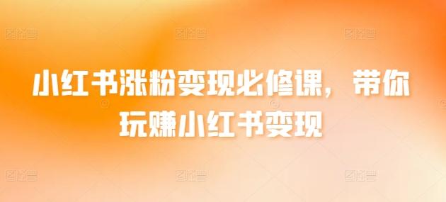 小红书涨粉变现必修课，带你玩赚小红书变现-康仁安资源