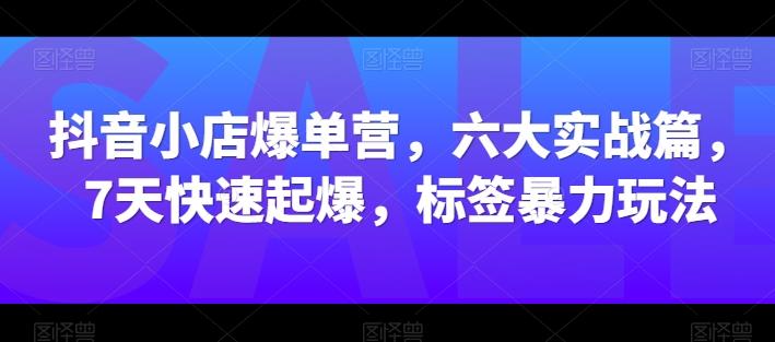 抖音小店爆单营，六大实战篇，7天快速起爆，标签暴力玩法-康仁安资源