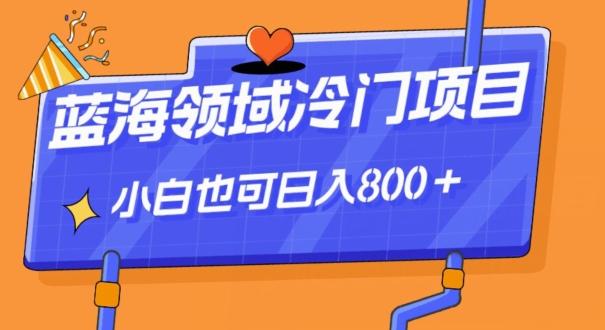 蓝海领域冷门赛道，一单39.9，日入800＋-康仁安资源