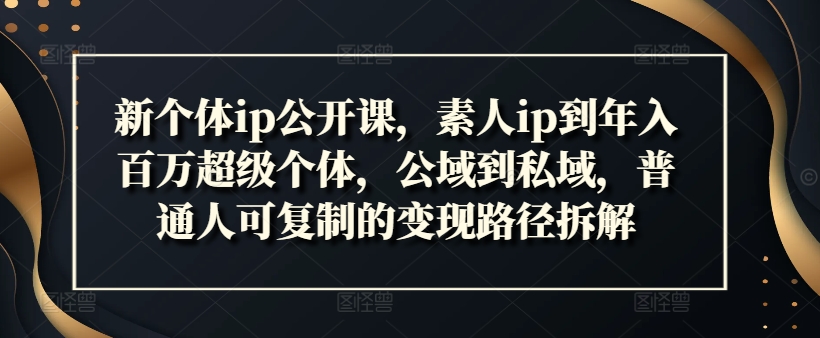 新个体ip公开课，素人ip到年入百万超级个体，公域到私域，普通人可复制的变现路径拆解-康仁安资源