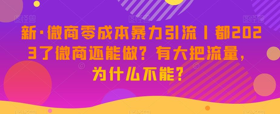 新·微商零成本暴力引流丨都2023了微商还能做？有大把流量，为什么不能？-康仁安资源