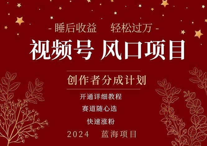 拥有睡眠收益的微信视频号大风口项目，轻松月入过万+，多赛道选择，可...-康仁安资源