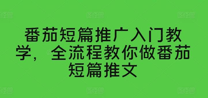 番茄短篇推广入门教学，全流程教你做番茄短篇推文-康仁安资源