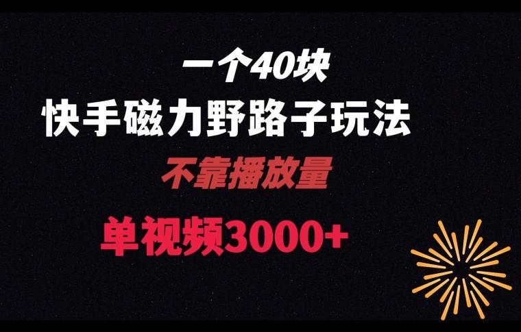一个40块，快手联合美团磁力新玩法，无视机制野路子玩法，单视频收益4位数【揭秘】-康仁安资源