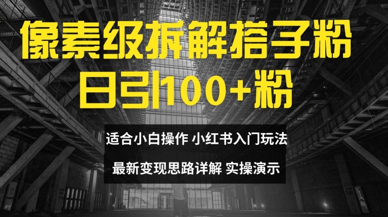 像素级拆解搭子粉，日引100+，小白看完可上手，最新变现思路详解【揭秘】-康仁安资源