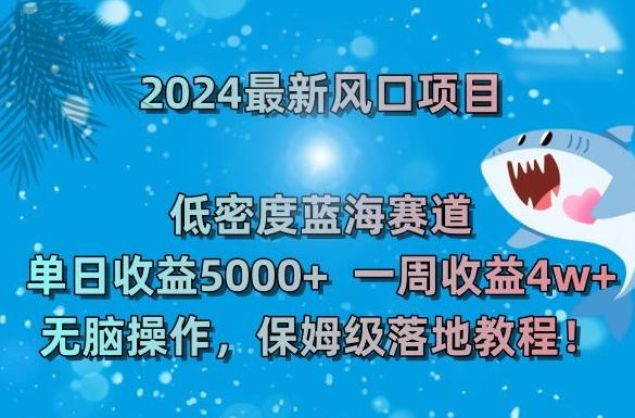2024最新风口项目，低密度蓝海赛道，单日收益5000+，一周收益4w+！【揭秘】-康仁安资源