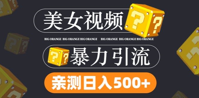 搬运tk美女视频全网分发，日引s粉300+，轻松变现，不限流量不封号【揭秘】-康仁安资源