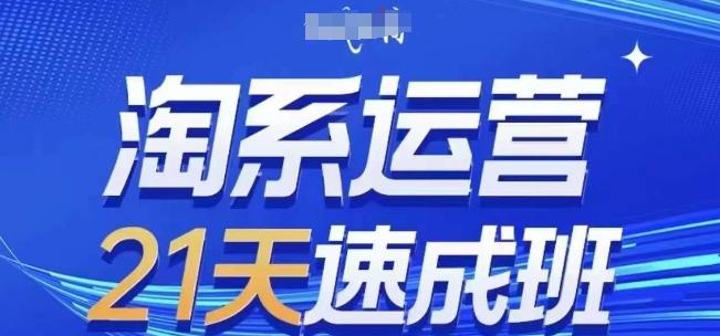 淘系运营21天速成班(更新24年7月)，0基础轻松搞定淘系运营，不做假把式-康仁安资源