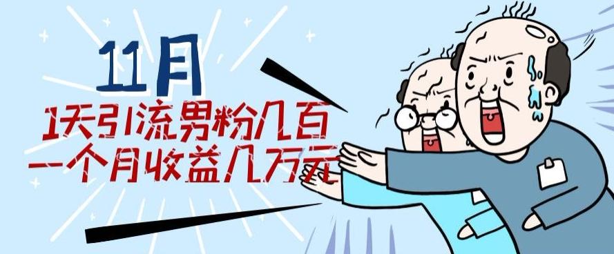 11月最新每天引流男粉300+一个月收益几万元-康仁安资源