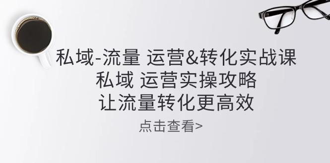 私域-流量 运营&转化实操课：私域 运营实操攻略 让流量转化更高效-康仁安资源