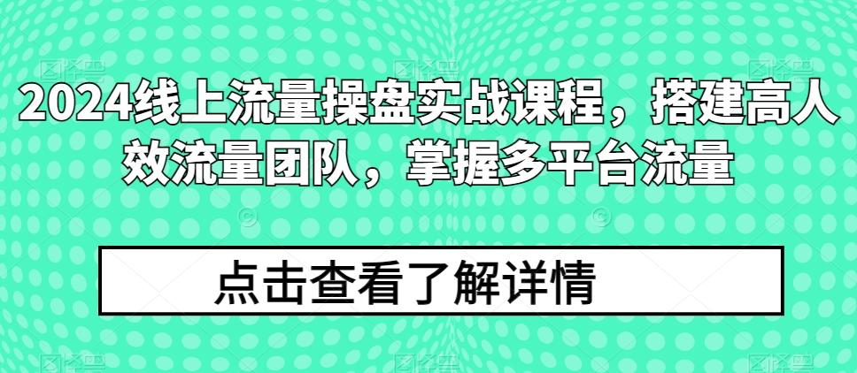 2024线上流量操盘实战课程，搭建高人效流量团队，掌握多平台流量-康仁安资源