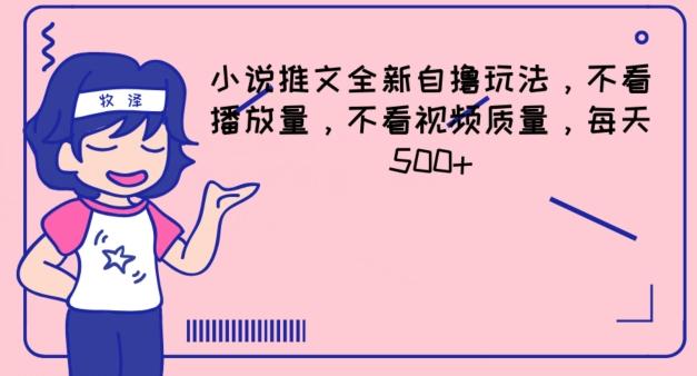 小说推文全新自撸玩法，不看播放量，不看视频质量，每天500+【揭秘】-康仁安资源