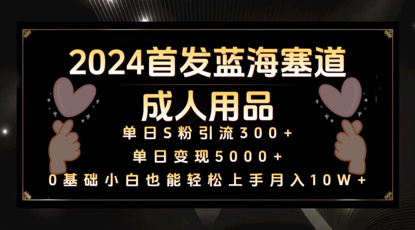 2024首发蓝海塞道成人用品,月入10W+保姆教程-康仁安资源