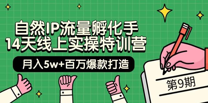 (9881期)自然IP流量孵化手 14天线上实操特训营【第9期】月入5w+百万爆款打造 (74节)-康仁安资源