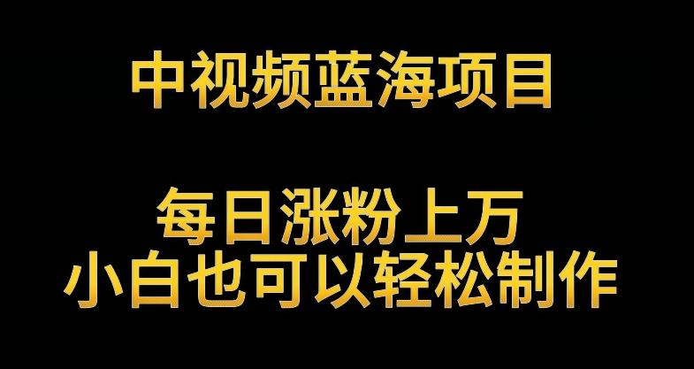 中视频蓝海项目，解读英雄人物生平，每日涨粉上万，小白也可以轻松制作，月入过万不是梦【揭秘】-康仁安资源