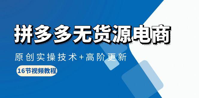 (10015期)拼多多无货源电商，原创实操技术+高阶更新(16节视频教程)-康仁安资源