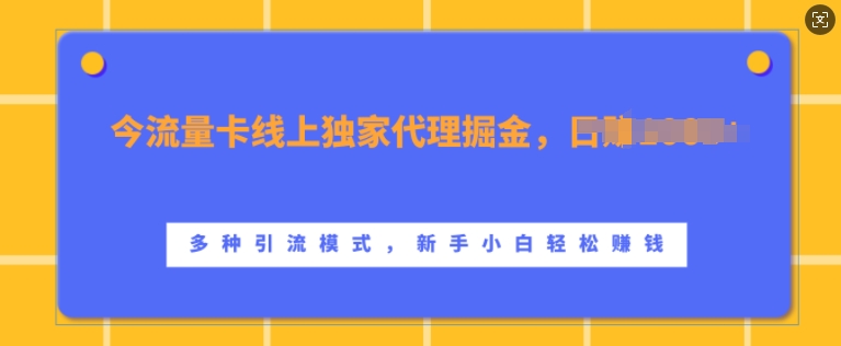 流量卡线上独家代理掘金，日入1k+ ，多种引流模式，新手小白轻松上手【揭秘】-康仁安资源