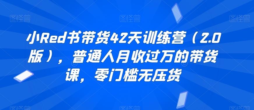 小Red书带货42天训练营(2.0版)，普通人月收过万的带货课，零门槛无压货-康仁安资源
