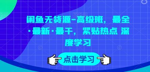 闲鱼无货源-高级班，最全·最新·最干，紧贴热点 深度学习-康仁安资源