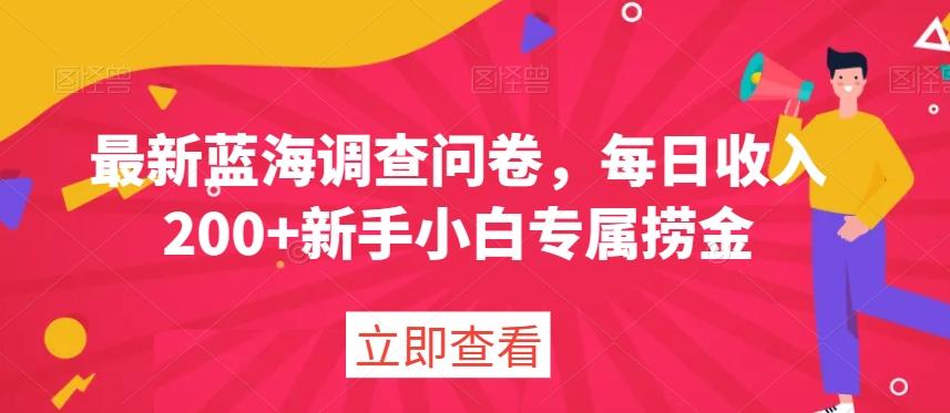 最新蓝海调查问卷，每日收入200+新手小白专属捞金-康仁安资源