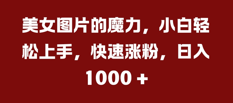 美女图片的魔力，小白轻松上手，快速涨粉，日入几张【揭秘】-康仁安资源