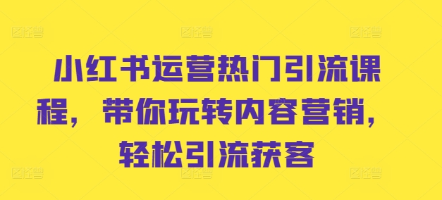 小红书运营热门引流课程，带你玩转内容营销，轻松引流获客-康仁安资源