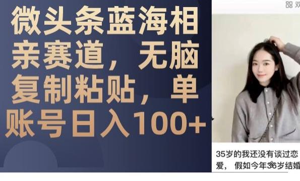 微头条蓝海相亲赛道，无脑复制粘贴，单账号日入100+-康仁安资源