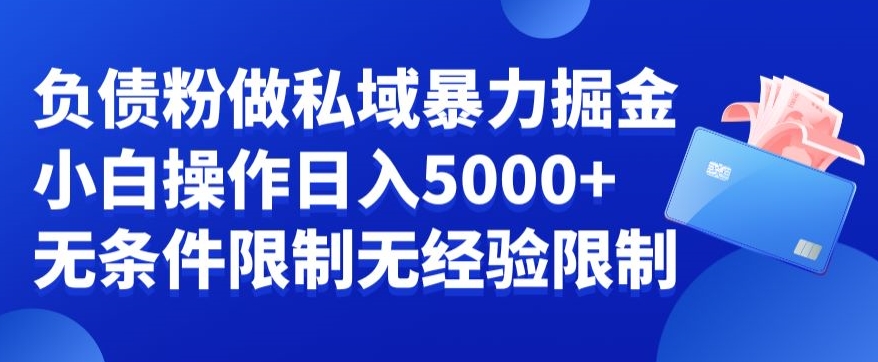 负债粉私域暴力掘金，小白操作入5000，无经验限制，无条件限制【揭秘】-康仁安资源