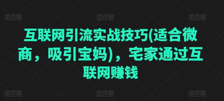 互联网引流实战技巧(适合微商，吸引宝妈)，宅家通过互联网赚钱-康仁安资源
