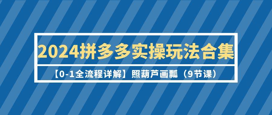 (9559期)2024拼多多实操玩法合集【0-1全流程详解】照葫芦画瓢(9节课)-康仁安资源
