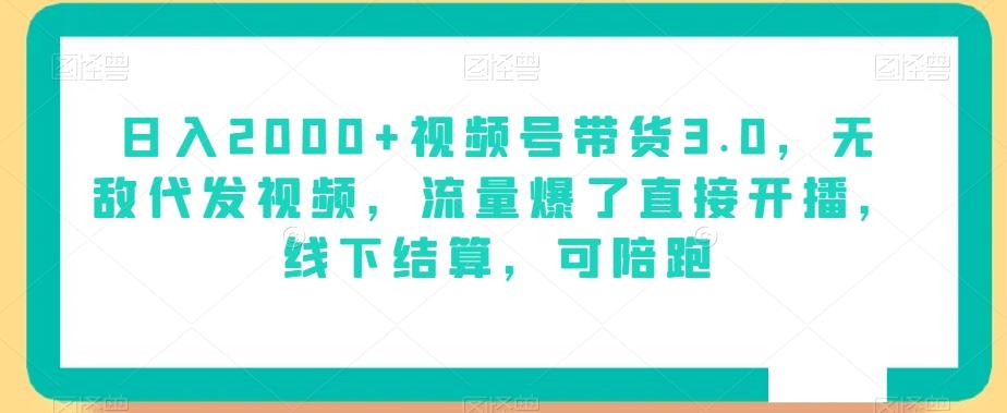 日入2000+视频号带货3.0，无敌代发视频，流量爆了直接开播，线下结算，可陪跑-康仁安资源