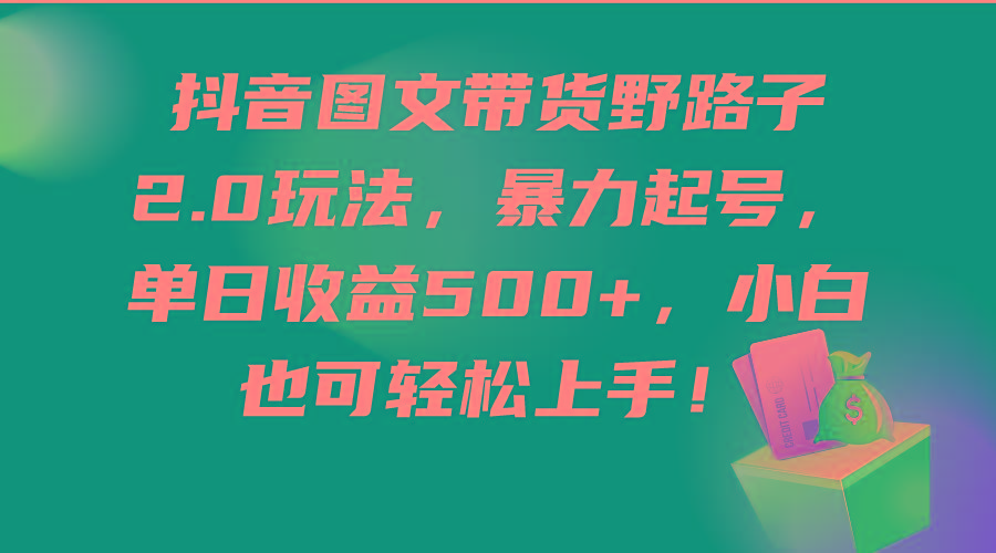 (9790期)抖音图文带货野路子2.0玩法，暴力起号，单日收益500+，小白也可轻松上手！-康仁安资源
