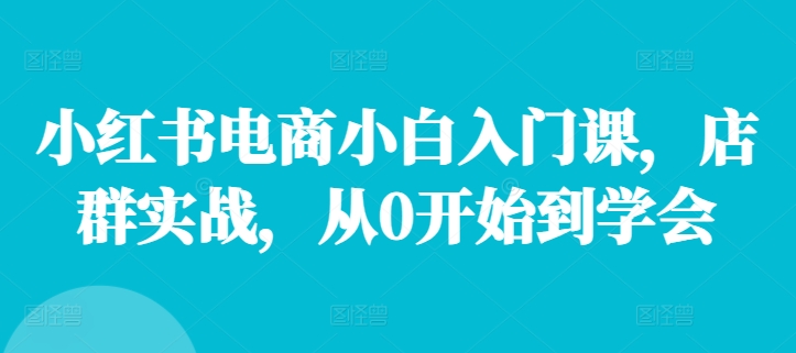 小红书电商小白入门课，店群实战，从0开始到学会-康仁安资源