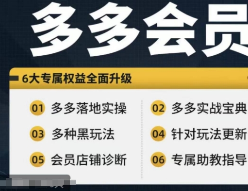 拼多多会员，拼多多实战宝典+实战落地实操，从新手到高阶内容全面覆盖-康仁安资源