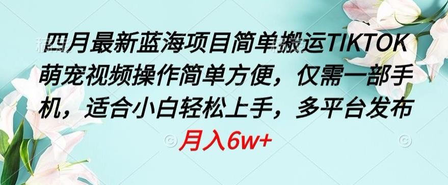 四月最新蓝海项目，简单搬运TIKTOK萌宠视频，操作简单方便，仅需一部手机【揭秘】-康仁安资源