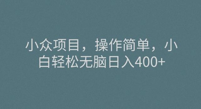 小众项目，操作简单，小白轻松无脑日入400+-康仁安资源