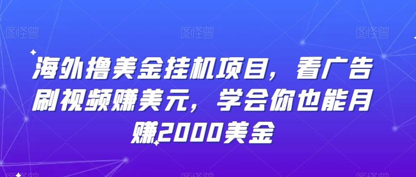 海外撸美金挂机项目，看广告刷视频赚美元，学会你也能月赚2000美金-康仁安资源