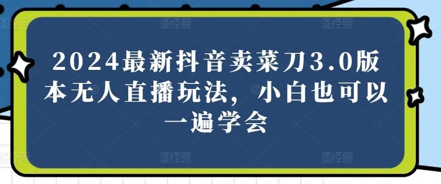 2024最新抖音卖菜刀3.0版本无人直播玩法，小白也可以一遍学会【揭秘】-康仁安资源